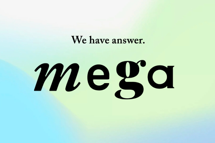 株式会社メガ・コミュニケーションズ